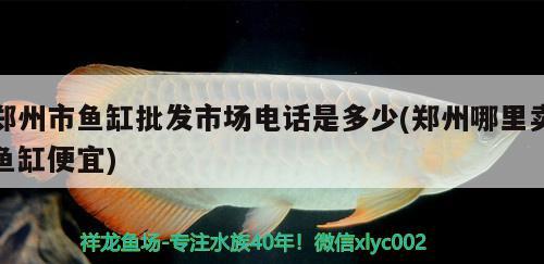 鄭州市魚缸批發(fā)市場(chǎng)電話是多少(鄭州哪里賣魚缸便宜)