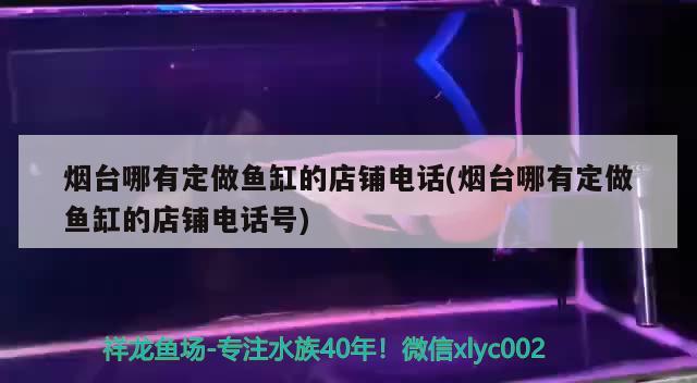 煙臺哪有定做魚缸的店鋪電話(煙臺哪有定做魚缸的店鋪電話號)