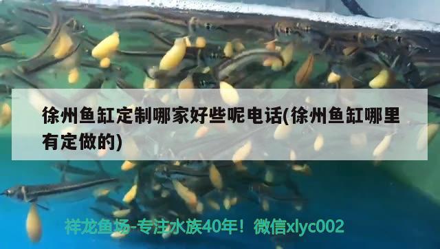 徐州魚缸定制哪家好些呢電話(徐州魚缸哪里有定做的) 魚缸定做