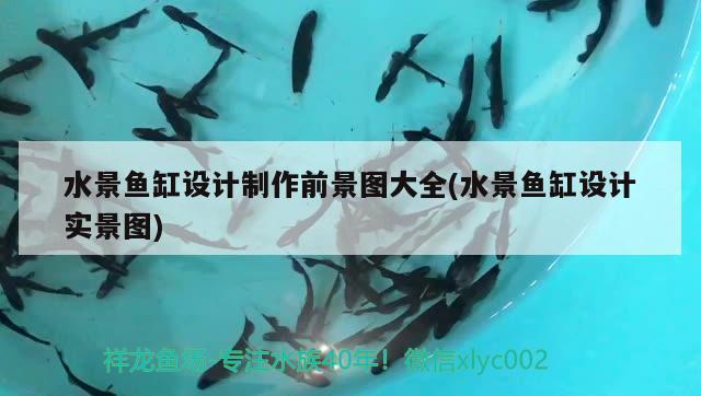 水景魚缸設(shè)計制作前景圖大全(水景魚缸設(shè)計實景圖)