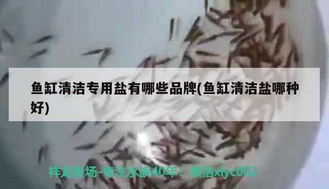 魚缸清潔專用鹽有哪些品牌(魚缸清潔鹽哪種好) 水草