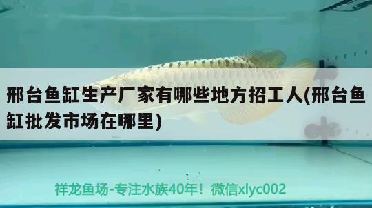 邢臺魚缸生產(chǎn)廠家有哪些地方招工人(邢臺魚缸批發(fā)市場在哪里) 觀賞魚批發(fā)