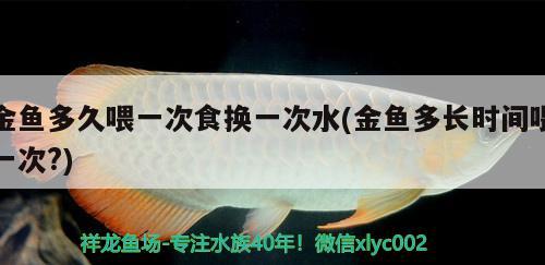 金魚多久喂一次食換一次水(金魚多長時間喂一次?)