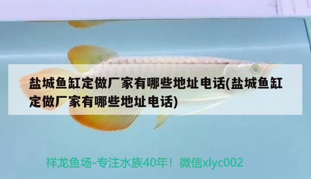 鹽城魚缸定做廠家有哪些地址電話(鹽城魚缸定做廠家有哪些地址電話)