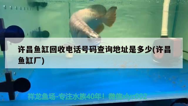 許昌魚缸回收電話號(hào)碼查詢地址是多少(許昌魚缸廠) 雙線側(cè)魚