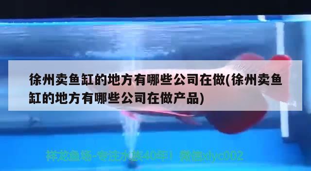 徐州賣魚缸的地方有哪些公司在做(徐州賣魚缸的地方有哪些公司在做產(chǎn)品) 大正錦鯉魚