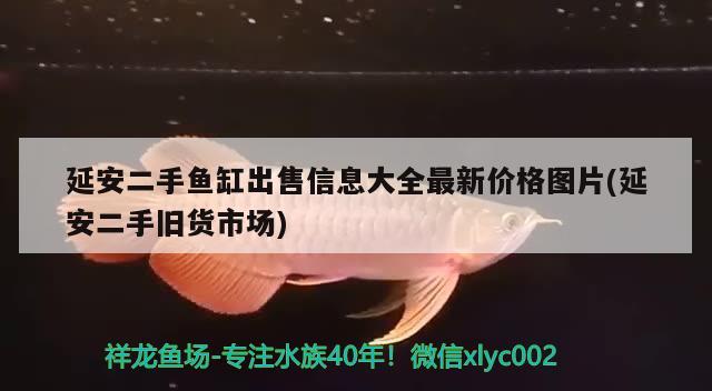 延安二手魚缸出售信息大全最新價(jià)格圖片(延安二手舊貨市場) 馬拉莫寶石魚