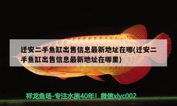 遷安二手魚缸出售信息最新地址在哪(遷安二手魚缸出售信息最新地址在哪里)