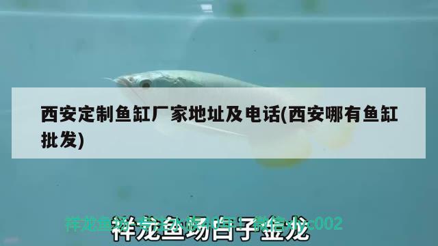 西安定制魚缸廠家地址及電話(西安哪有魚缸批發(fā)) 委內(nèi)瑞拉奧里諾三間魚苗