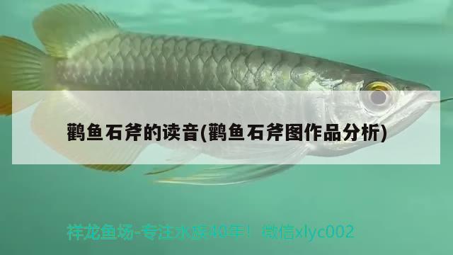 鸛魚石斧的讀音(鸛魚石斧圖作品分析)