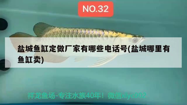 鹽城魚缸定做廠家有哪些電話號(hào)(鹽城哪里有魚缸賣) 海水魚（海水魚批發(fā)）