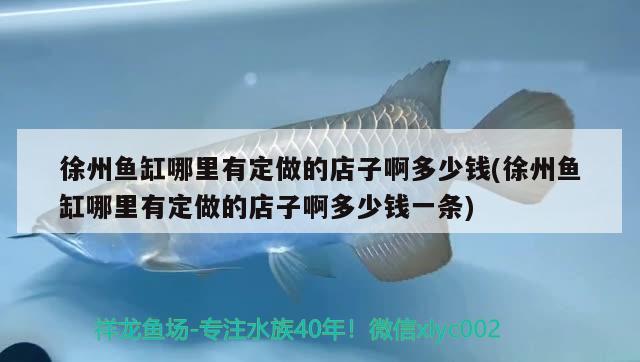 徐州魚缸哪里有定做的店子啊多少錢(徐州魚缸哪里有定做的店子啊多少錢一條) 祥龍超血紅龍魚