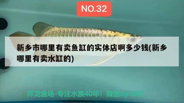 新鄉(xiāng)市哪里有賣魚缸的實(shí)體店啊多少錢(新鄉(xiāng)哪里有賣水缸的) 九鼎魚缸