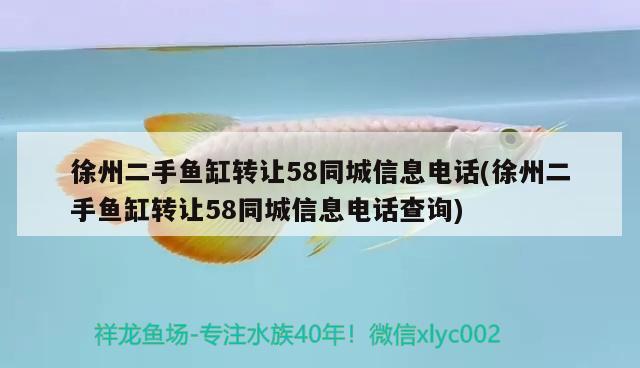 徐州二手魚缸轉(zhuǎn)讓58同城信息電話(徐州二手魚缸轉(zhuǎn)讓58同城信息電話查詢) 月光鴨嘴魚