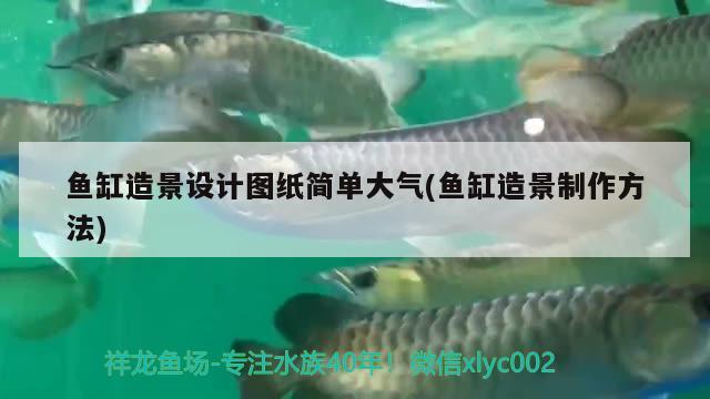 魚缸造景設(shè)計圖紙簡單大氣(魚缸造景制作方法)