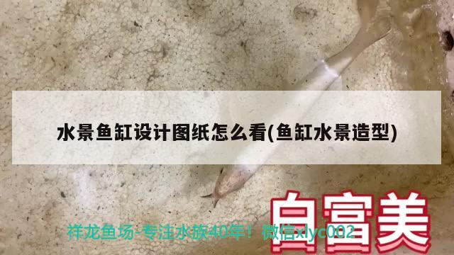 水景魚缸設(shè)計圖紙怎么看(魚缸水景造型) 白子關(guān)刀魚苗