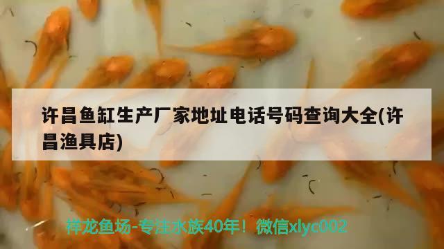 許昌魚缸生產(chǎn)廠家地址電話號(hào)碼查詢大全(許昌漁具店) 非洲象鼻魚