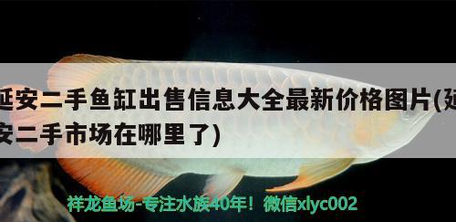 延安二手魚(yú)缸出售信息大全最新價(jià)格圖片(延安二手市場(chǎng)在哪里了)