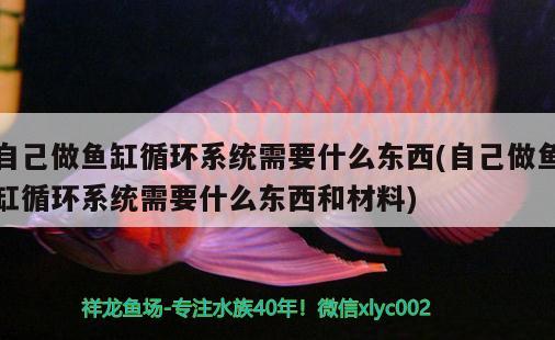 自己做魚缸循環(huán)系統(tǒng)需要什么東西(自己做魚缸循環(huán)系統(tǒng)需要什么東西和材料)