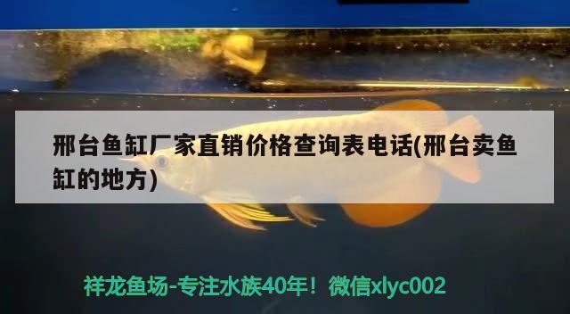 邢臺魚缸廠家直銷價格查詢表電話(邢臺賣魚缸的地方)