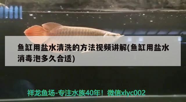 魚缸用鹽水清洗的方法視頻講解(魚缸用鹽水消毒泡多久合適)