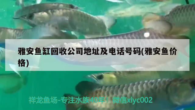 雅安魚缸回收公司地址及電話號(hào)碼(雅安魚價(jià)格)