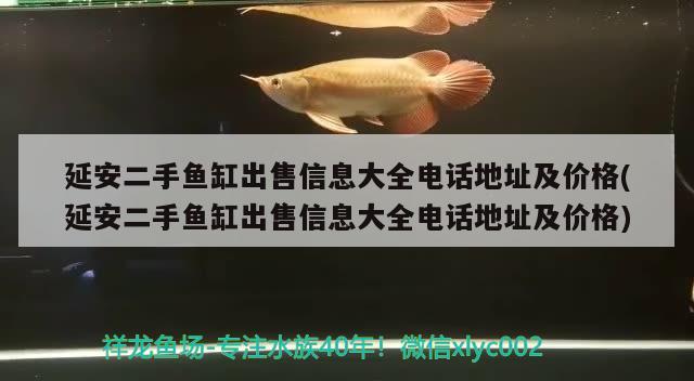 延安二手魚缸出售信息大全電話地址及價格(延安二手魚缸出售信息大全電話地址及價格) 蘇虎苗（蘇門答臘虎魚苗）