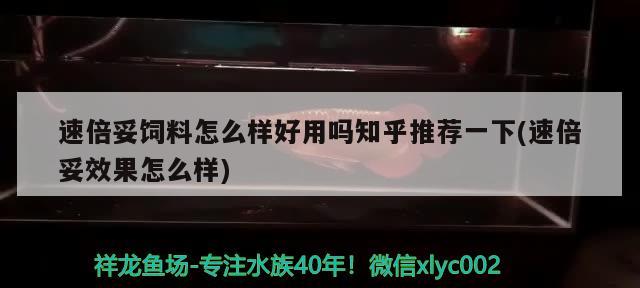 速倍妥飼料怎么樣好用嗎知乎推薦一下(速倍妥效果怎么樣) 速倍妥