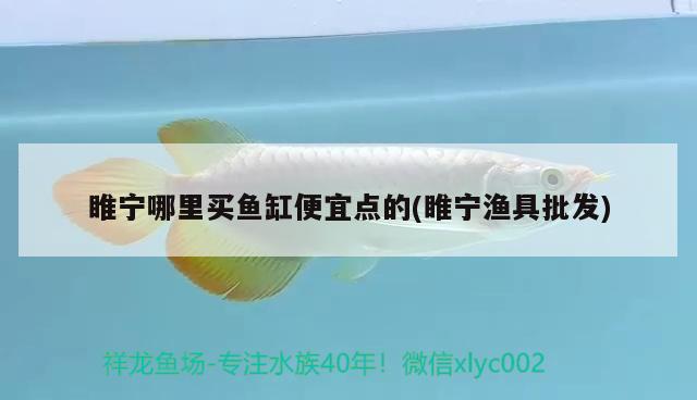 睢寧哪里買魚缸便宜點的(睢寧漁具批發(fā))