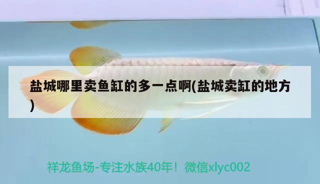 鹽城哪里賣(mài)魚(yú)缸的多一點(diǎn)啊(鹽城賣(mài)缸的地方)