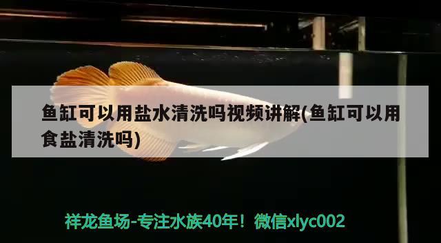 魚缸可以用鹽水清洗嗎視頻講解(魚缸可以用食鹽清洗嗎)