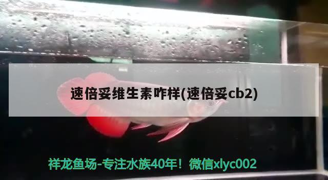 速倍妥維生素咋樣(速倍妥cb2)