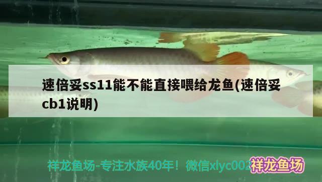 速倍妥ss11能不能直接喂給龍魚(速倍妥cb1說明) 速倍妥