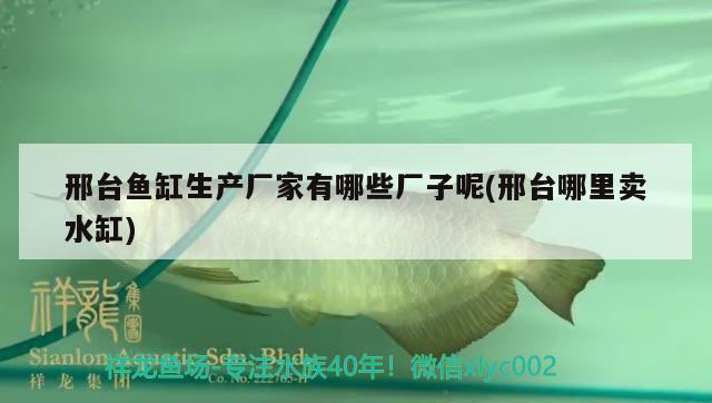 邢臺(tái)魚缸生產(chǎn)廠家有哪些廠子呢(邢臺(tái)哪里賣水缸)