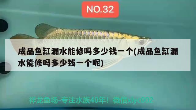 成品魚缸漏水能修嗎多少錢一個(gè)(成品魚缸漏水能修嗎多少錢一個(gè)呢)