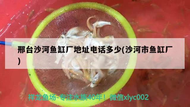 邢臺沙河魚缸廠地址電話多少(沙河市魚缸廠)