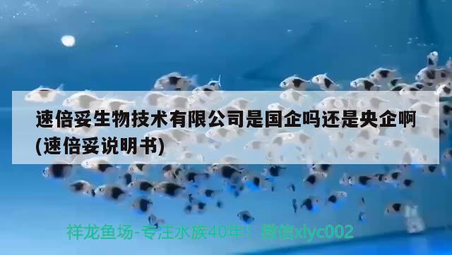 速倍妥生物技術(shù)有限公司是國企嗎還是央企啊(速倍妥說明書)