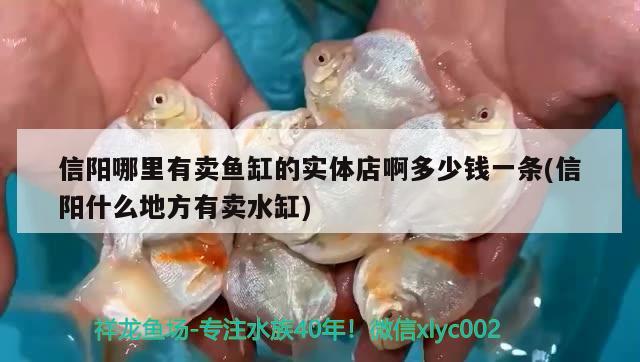 信陽(yáng)哪里有賣魚缸的實(shí)體店啊多少錢一條(信陽(yáng)什么地方有賣水缸)