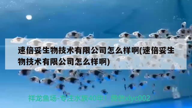 速倍妥生物技術(shù)有限公司怎么樣啊(速倍妥生物技術(shù)有限公司怎么樣啊)