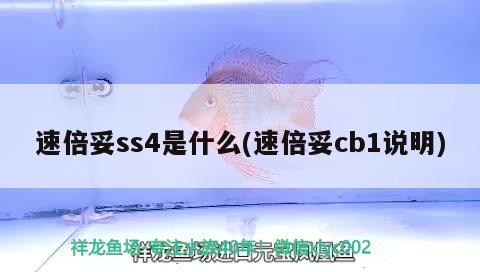 速倍妥ss4是什么(速倍妥cb1說明) 速倍妥