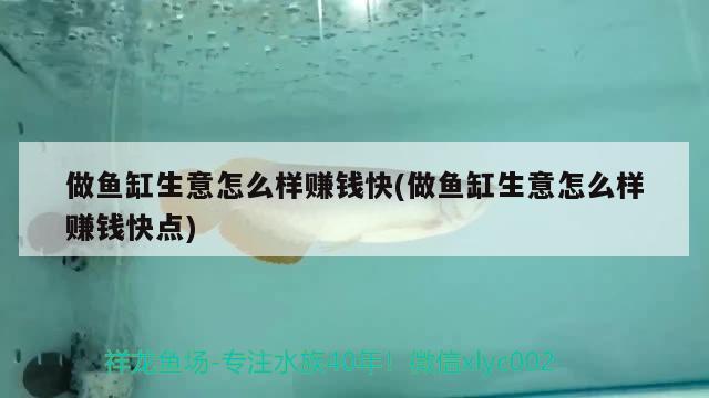 做魚缸生意怎么樣賺錢快(做魚缸生意怎么樣賺錢快點)