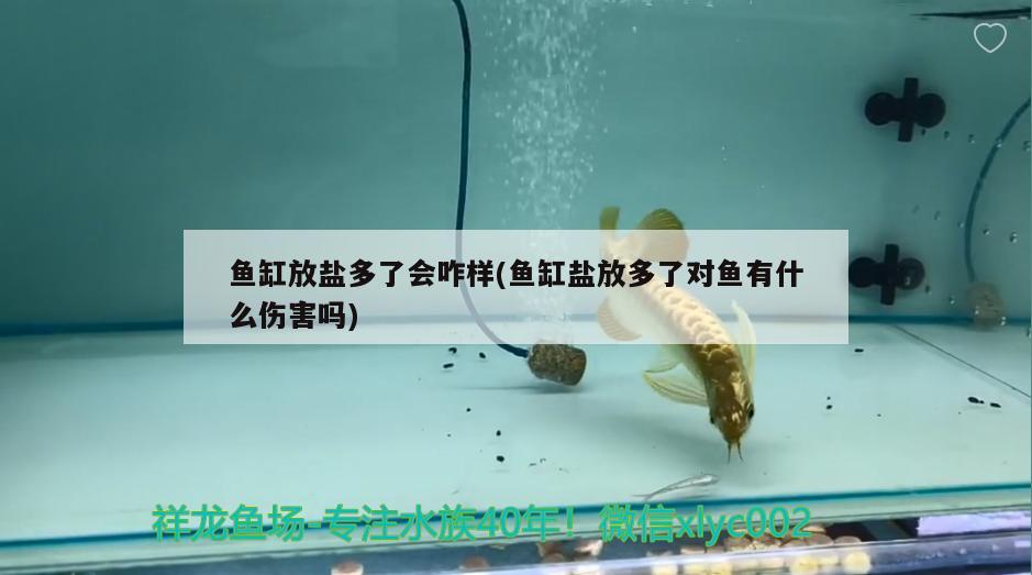 魚缸放鹽多了會(huì)咋樣(魚缸鹽放多了對魚有什么傷害嗎)