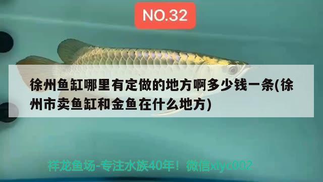 徐州魚缸哪里有定做的地方啊多少錢一條(徐州市賣魚缸和金魚在什么地方) 養(yǎng)魚的好處