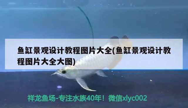 魚(yú)缸景觀設(shè)計(jì)教程圖片大全(魚(yú)缸景觀設(shè)計(jì)教程圖片大全大圖)