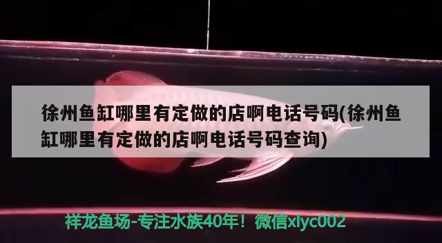 徐州魚缸哪里有定做的店啊電話號碼(徐州魚缸哪里有定做的店啊電話號碼查詢) 泰龐海蓮魚