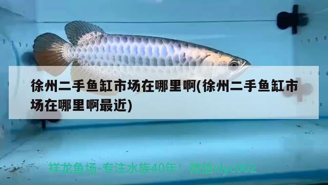 徐州二手魚缸市場在哪里啊(徐州二手魚缸市場在哪里啊最近)