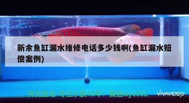 新余魚缸漏水維修電話多少錢啊(魚缸漏水賠償案例)