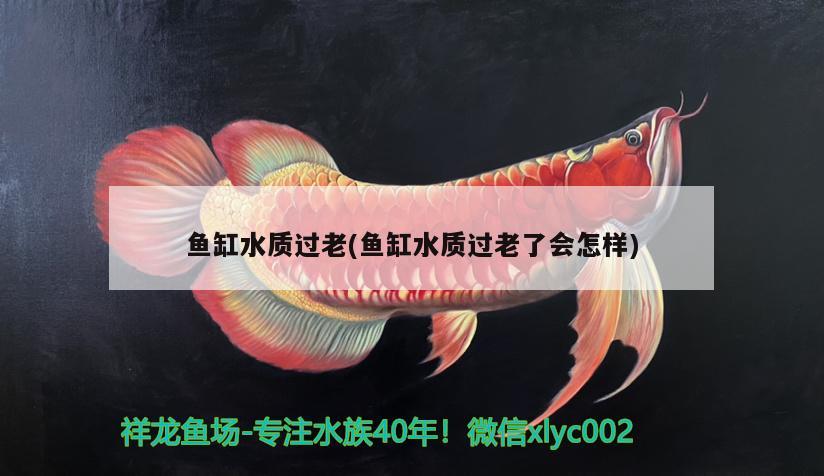 魚缸水質(zhì)過老(魚缸水質(zhì)過老了會怎樣)