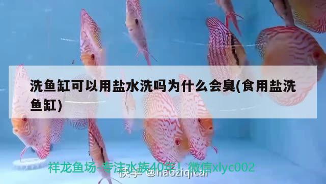 洗魚缸可以用鹽水洗嗎為什么會(huì)臭(食用鹽洗魚缸) 祥龍進(jìn)口元寶鳳凰魚