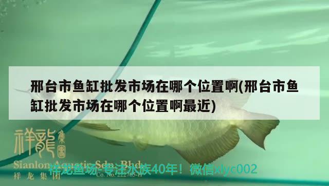 邢臺(tái)市魚缸批發(fā)市場(chǎng)在哪個(gè)位置啊(邢臺(tái)市魚缸批發(fā)市場(chǎng)在哪個(gè)位置啊最近)